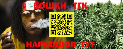 СК Донской